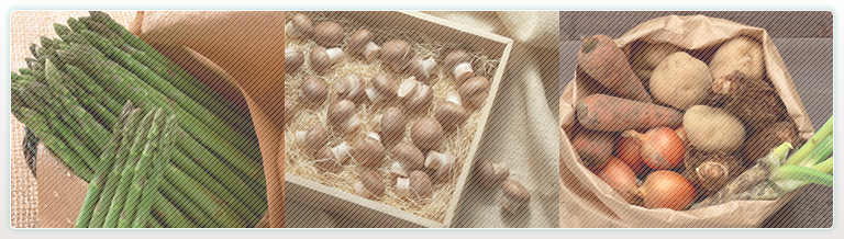 青果大新（だいしん）東横線「綱島駅」徒歩5分