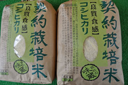 契約栽培米こしひかり100%